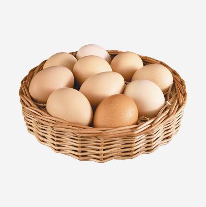 Picture of Chicken Egg